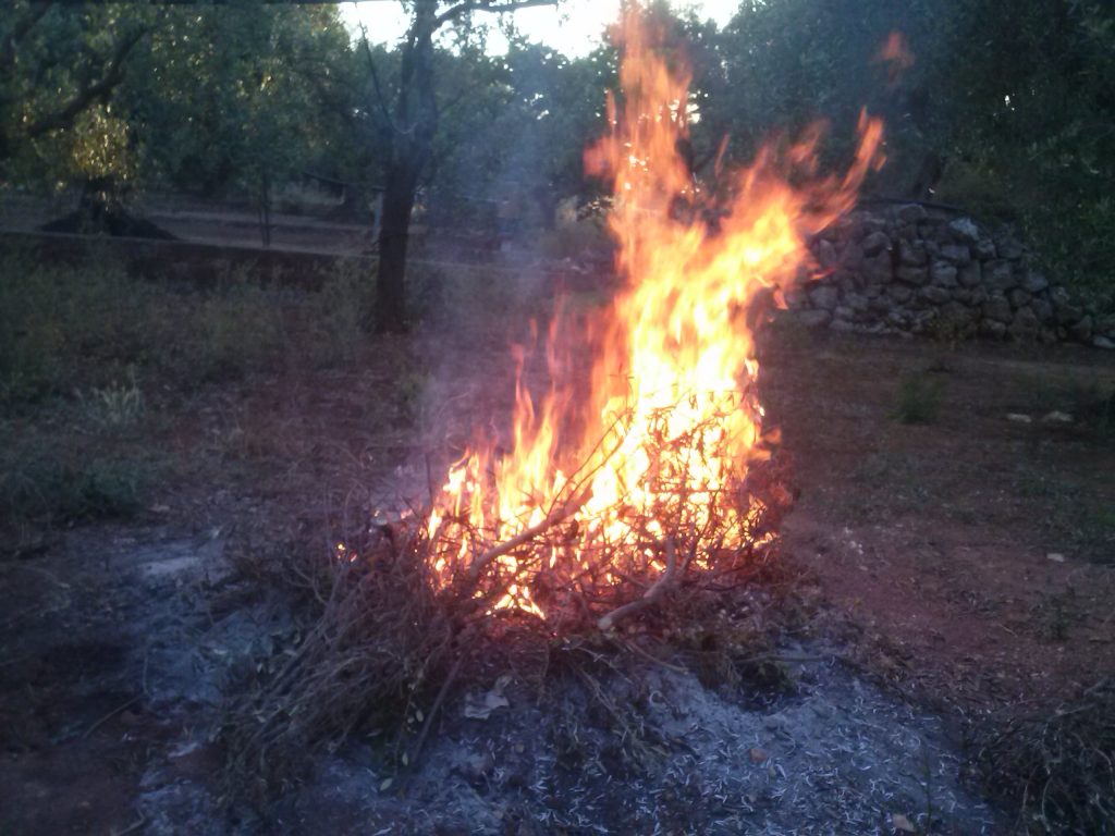Olivenfeuer um 5.00 Uhr