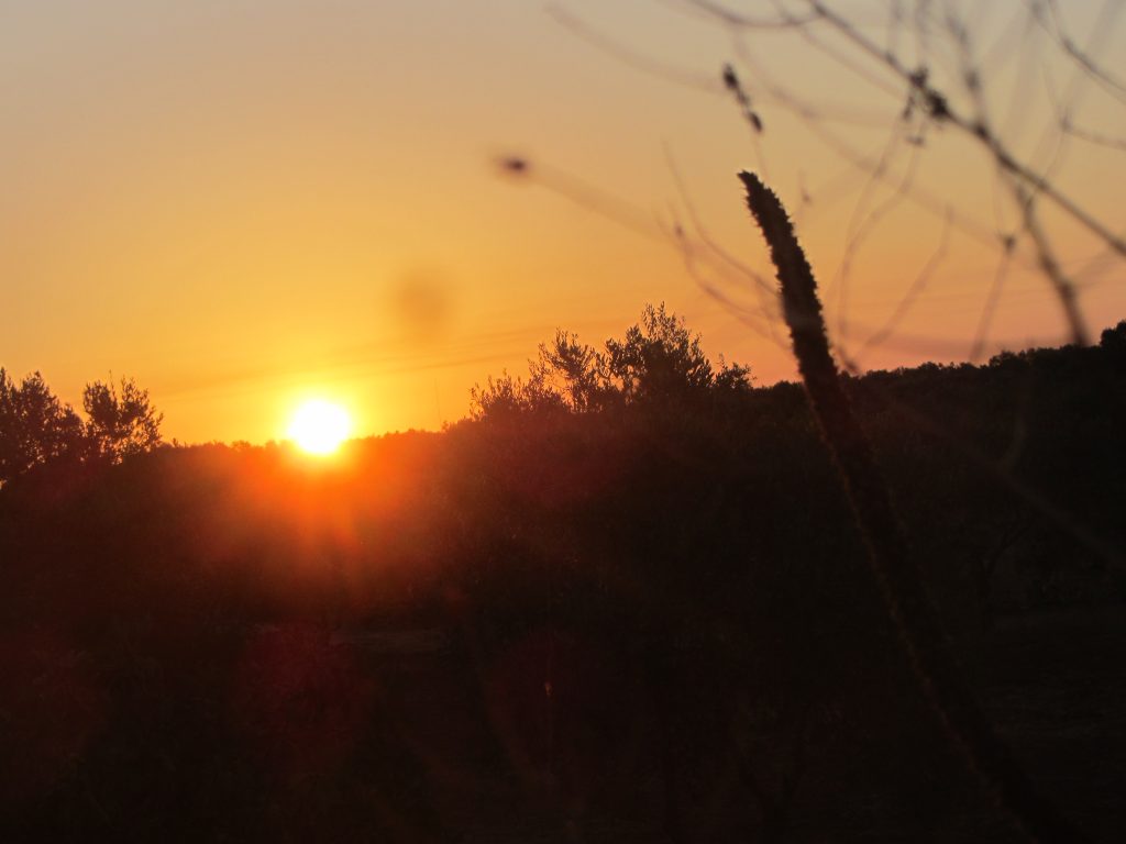 Sonnenuntergang bei Ugento