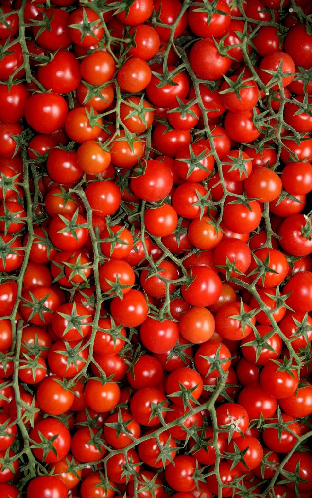 Tomaten aus Apulien